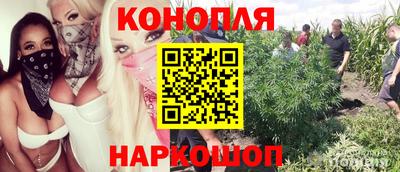 стафф Апшеронск