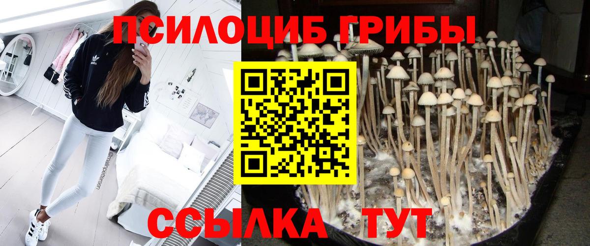 Псилоцибиновые грибы мицелий Нурлат