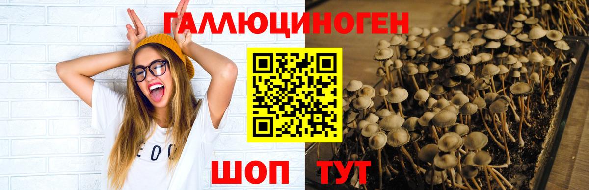 Псилоцибиновые грибы мухоморы  Нурлат 