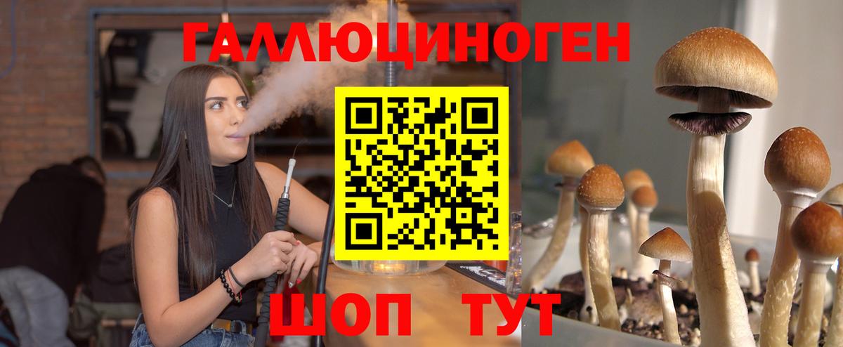 Нурлат  Галлюциногенные грибы MAGIC MUSHROOMS  Вход с VPN  Псилоцибиновые грибы Psilocybe 